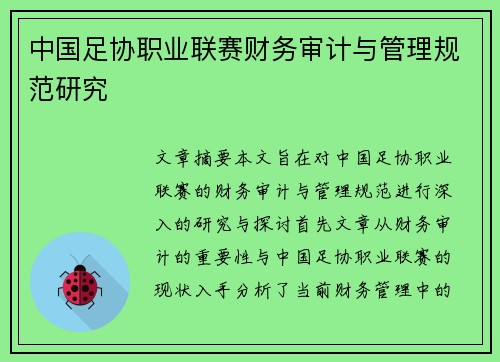 中国足协职业联赛财务审计与管理规范研究 中国足协职业联赛财务审计与管理规范研究